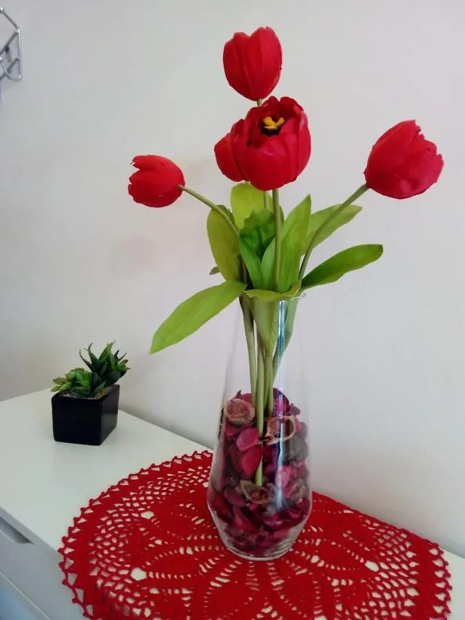 Fico D' India Apartment Palermo Italy